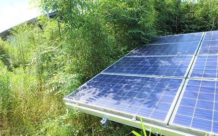 太陽光発電設備 除草対策